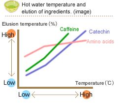 Relationship between the temperatures of tea and water.
