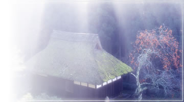 Ujitawara is the Birthplace of Japanese Green Tea. Still Inherit the Honor.